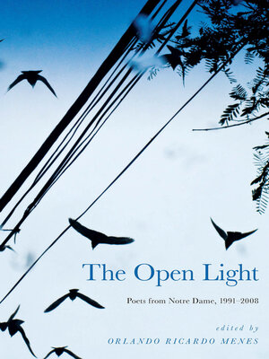 cover image of The Open Light